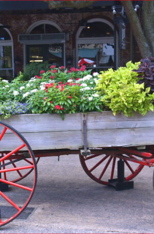 Savannah Scavenger Hunt Walking Tour