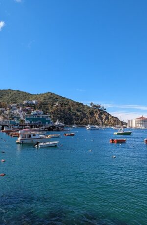 Catalina Scavenger Hunt Walking Tour