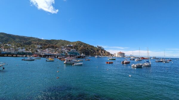 Catalina Scavenger Hunt Walking Tour - Image 7