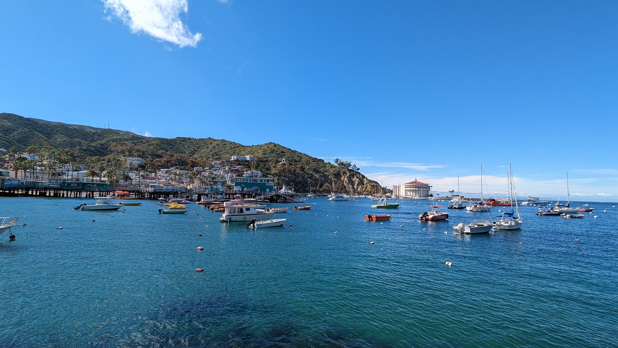 Catalina Scavenger Hunt Walking Tour