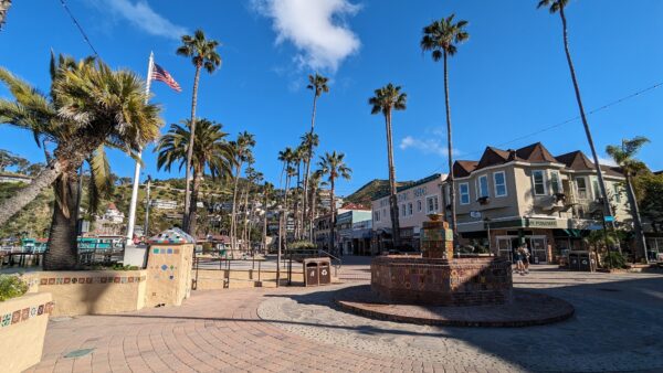 Catalina Scavenger Hunt Walking Tour - Image 3