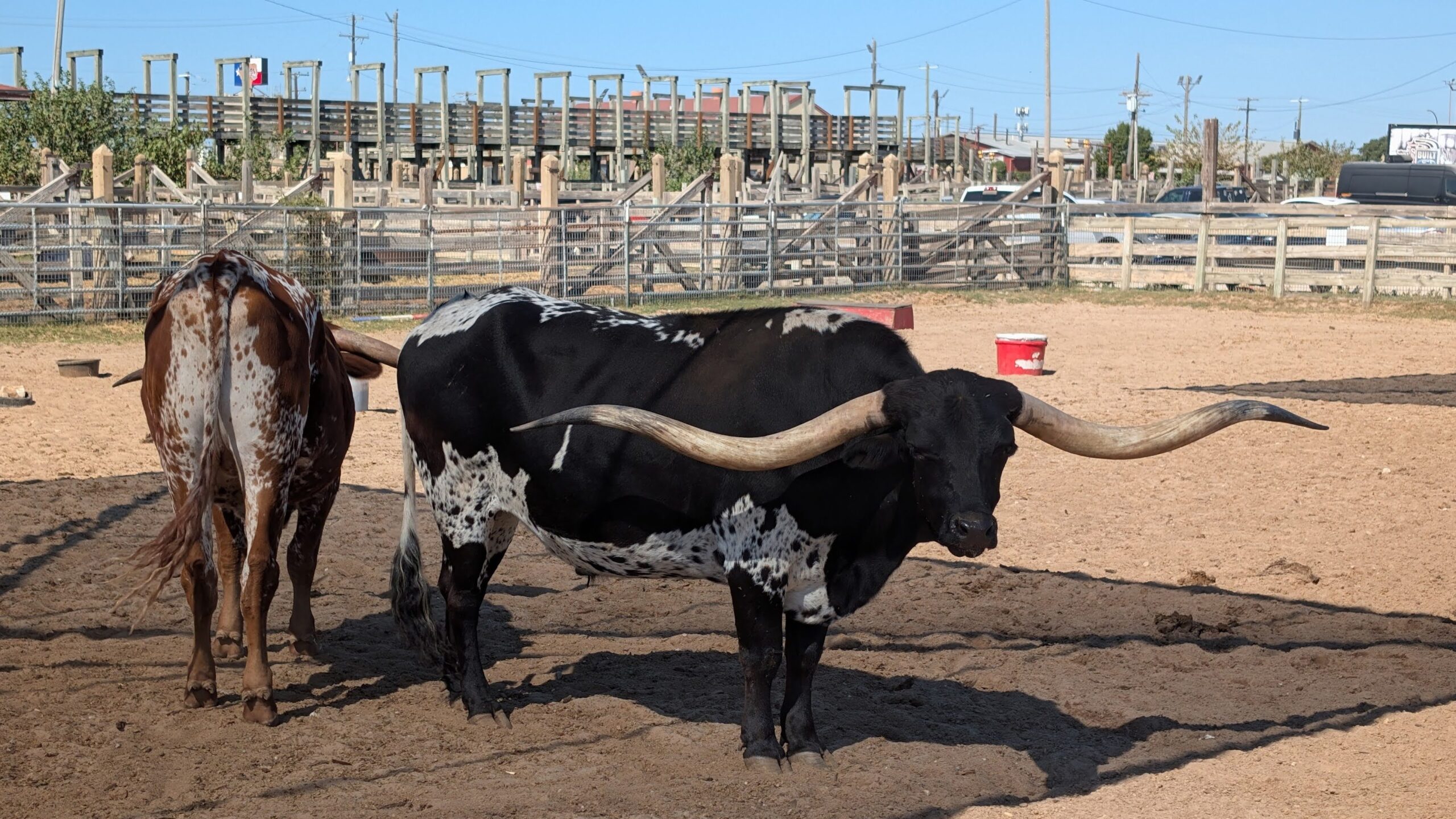 Fort Worth Stockyards Scavenger Hunt Walking Tour
