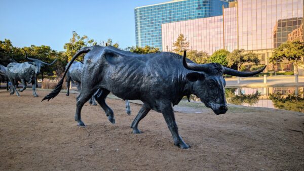 Dallas Scavenger Hunt Walking Tour - Image 4