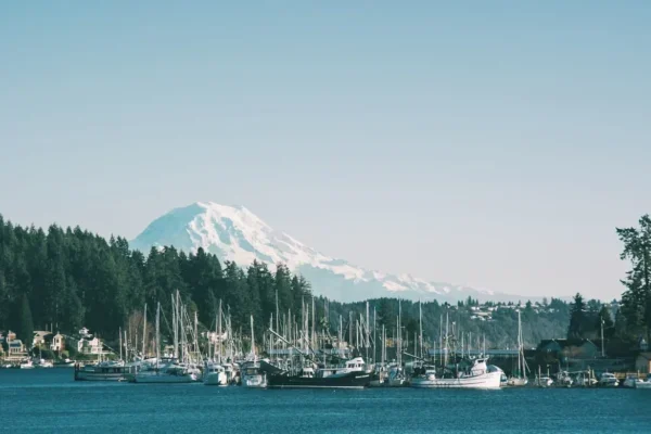 Admin Upload in Gig Harbor Scavenger Hunt, WA
