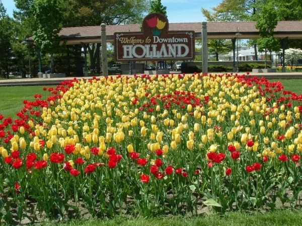 Admin Upload in Holland Scavenger Hunt, MI