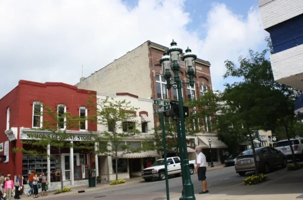 East Mitchell Street Historic District.jpg in Petoskey Scavenger Hunt, MI