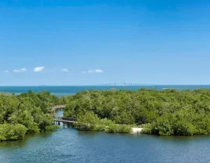 Admin Upload in Bradenton: De Soto National Memorial Scavenger Hunt, FL