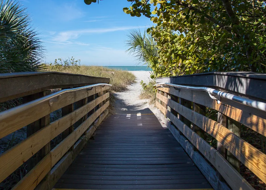 Venice Florida Beach Path.png in Venice Florida Scavenger Hunt