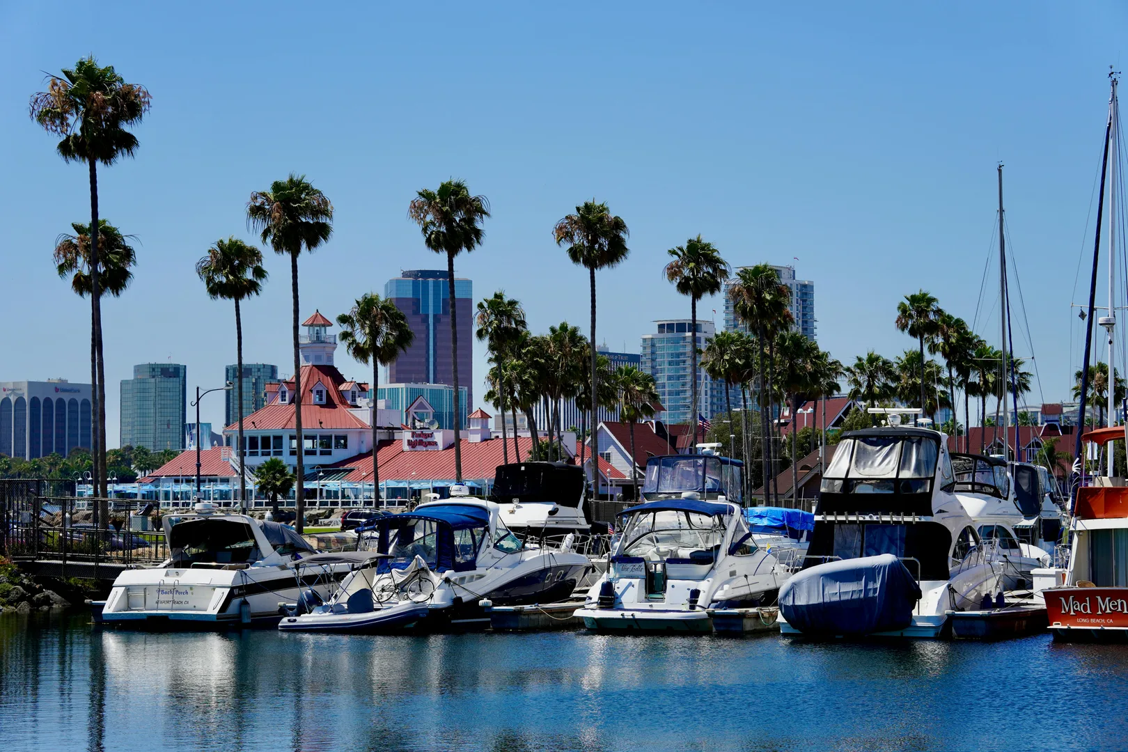 Yachts moored at Long Beach Harbor under a clear blue sky with palm trees. in Long Beach Scavenger Hunt