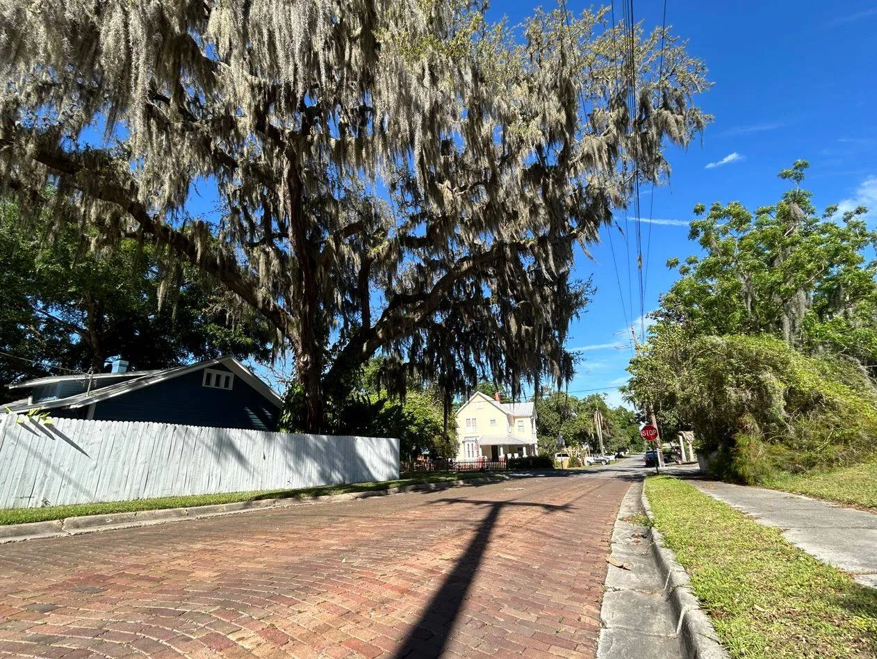 Howard Avenue Dade City Florida.jfif in Dade City Scavenger Hunt