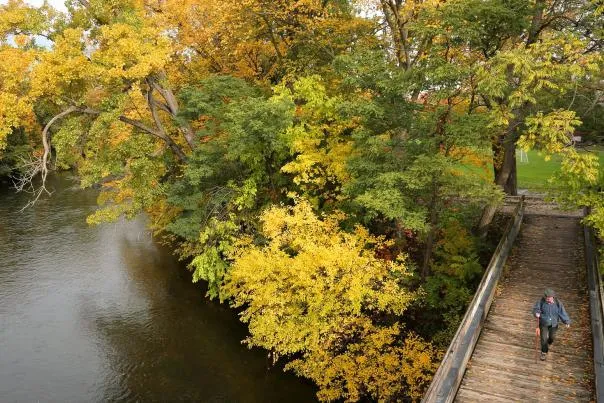 Creek in fall ypsilanti.jpg in Ypsilanti Scavenger Hunt