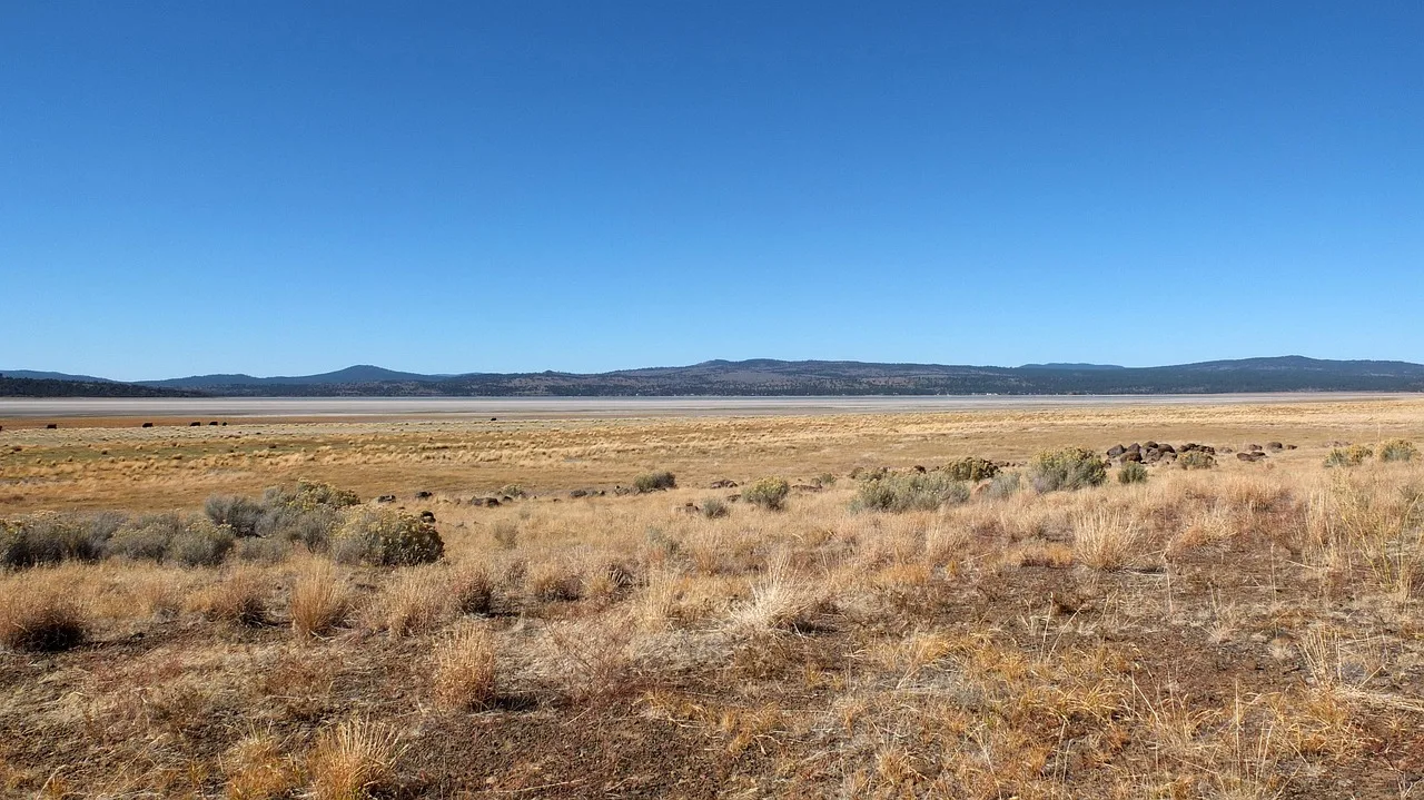 Klamath Falls in Klamath Falls Scavenger Hunt
